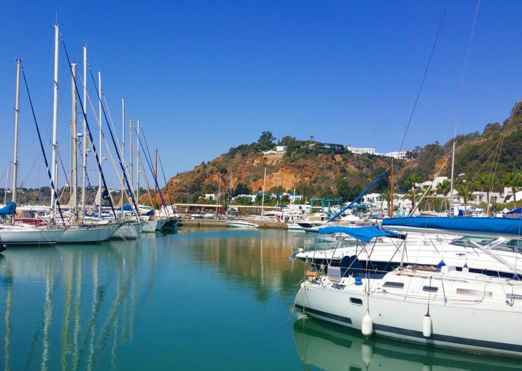 Vue panoramique du port de Sidi Bou Saïd