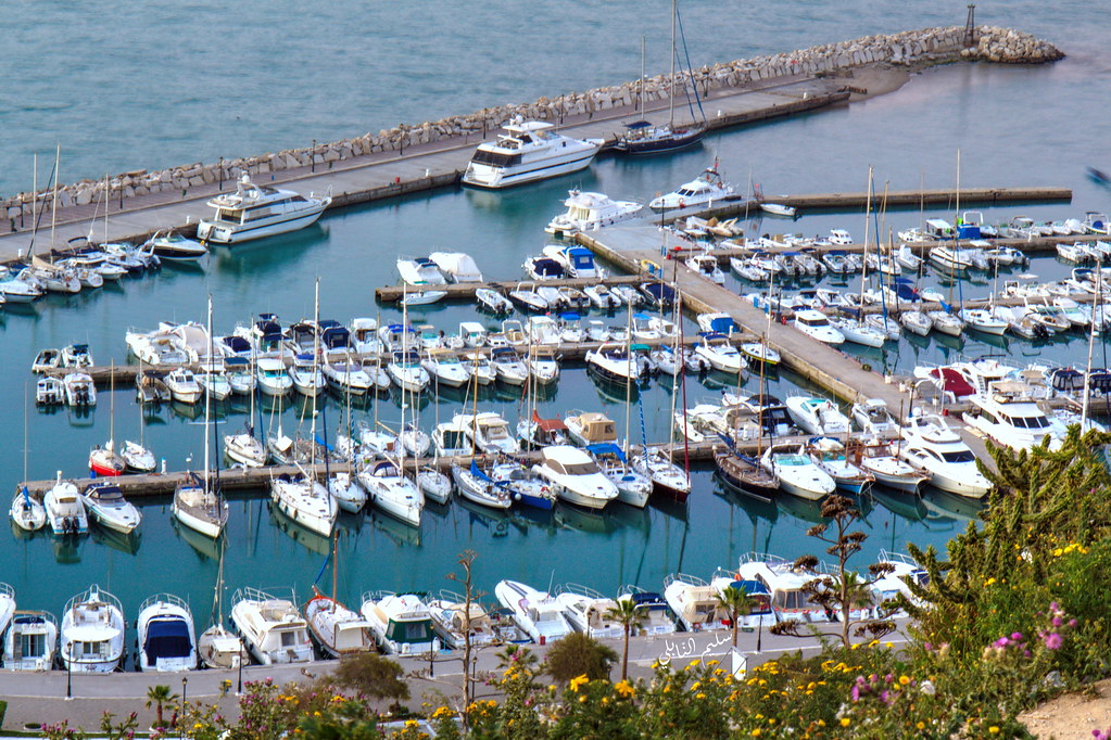 Le Port de Sidi Bou Saïd : Entre charme méditerranéen et départ vers l'évasion
